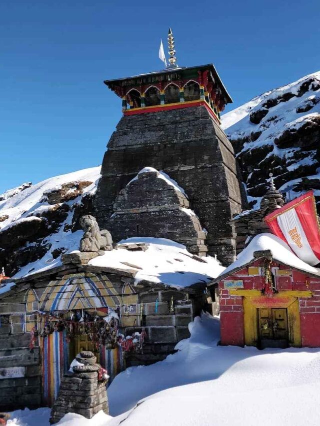 Explore Chopta with Affordable Trekking Adventures
