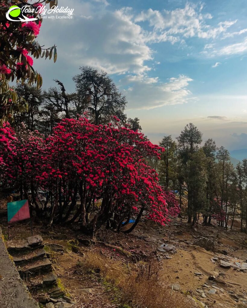 chopta tour