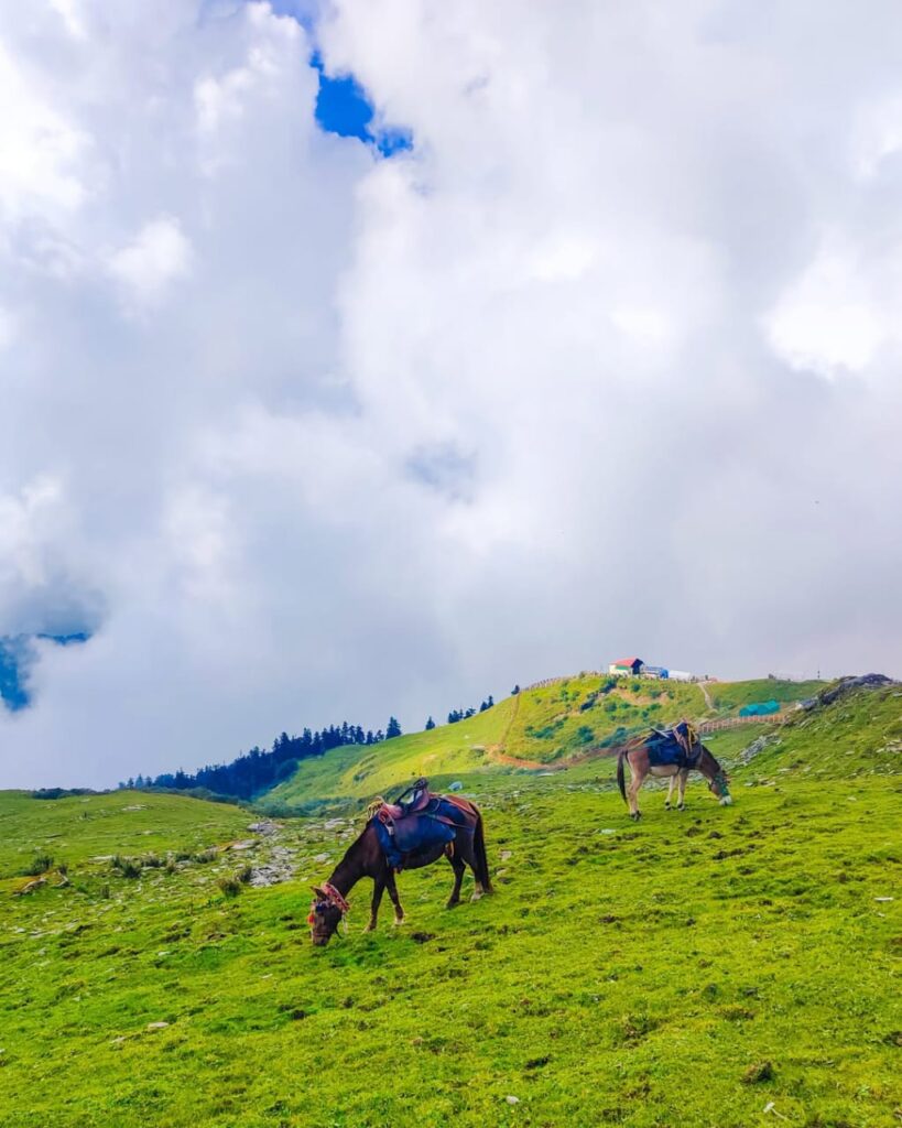 chopta tour packagae