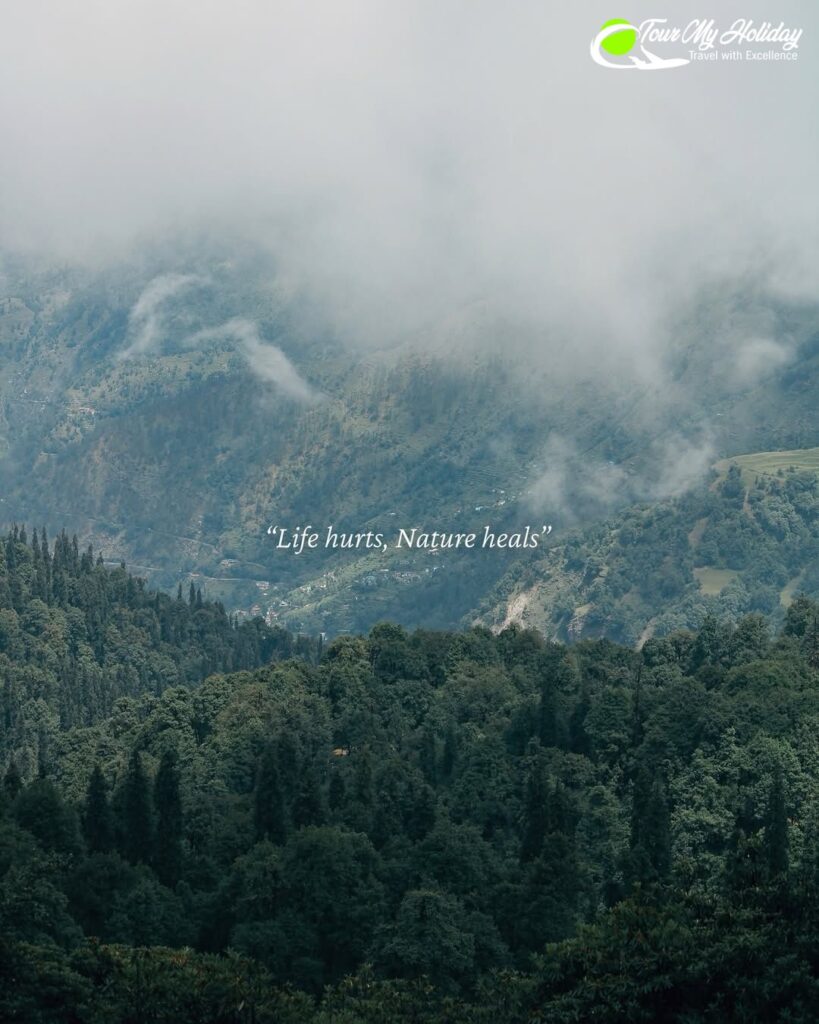 chandrashila summit trek