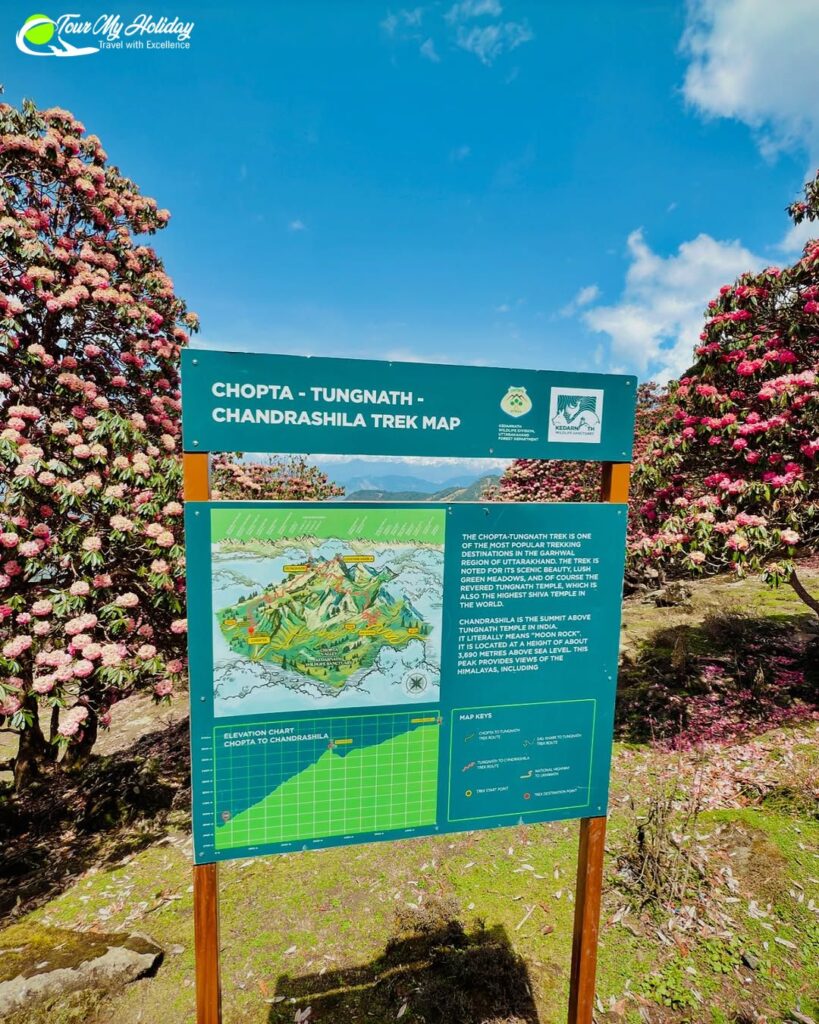 chandrashila summit trek
