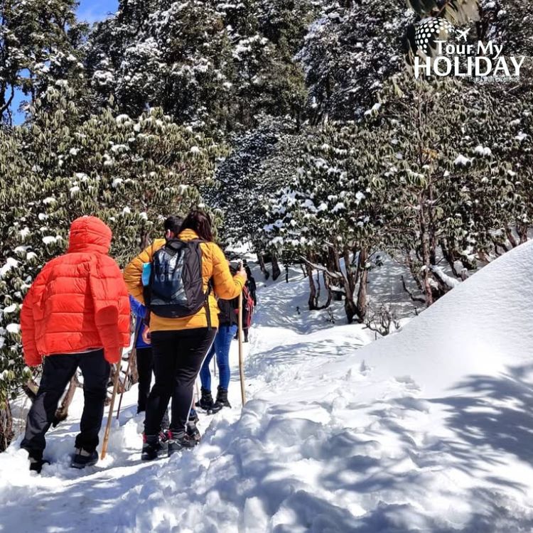 chopta tour package from delhi 
