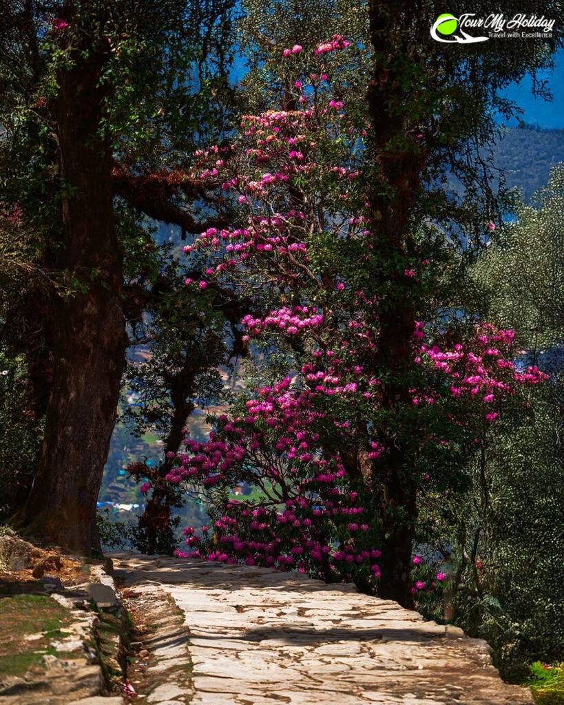 chopta tour package from delhi