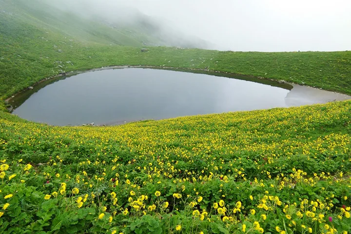 chopta tour package