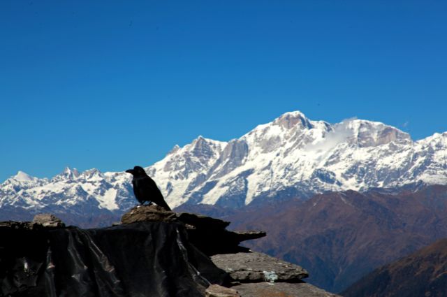 chopta tour package