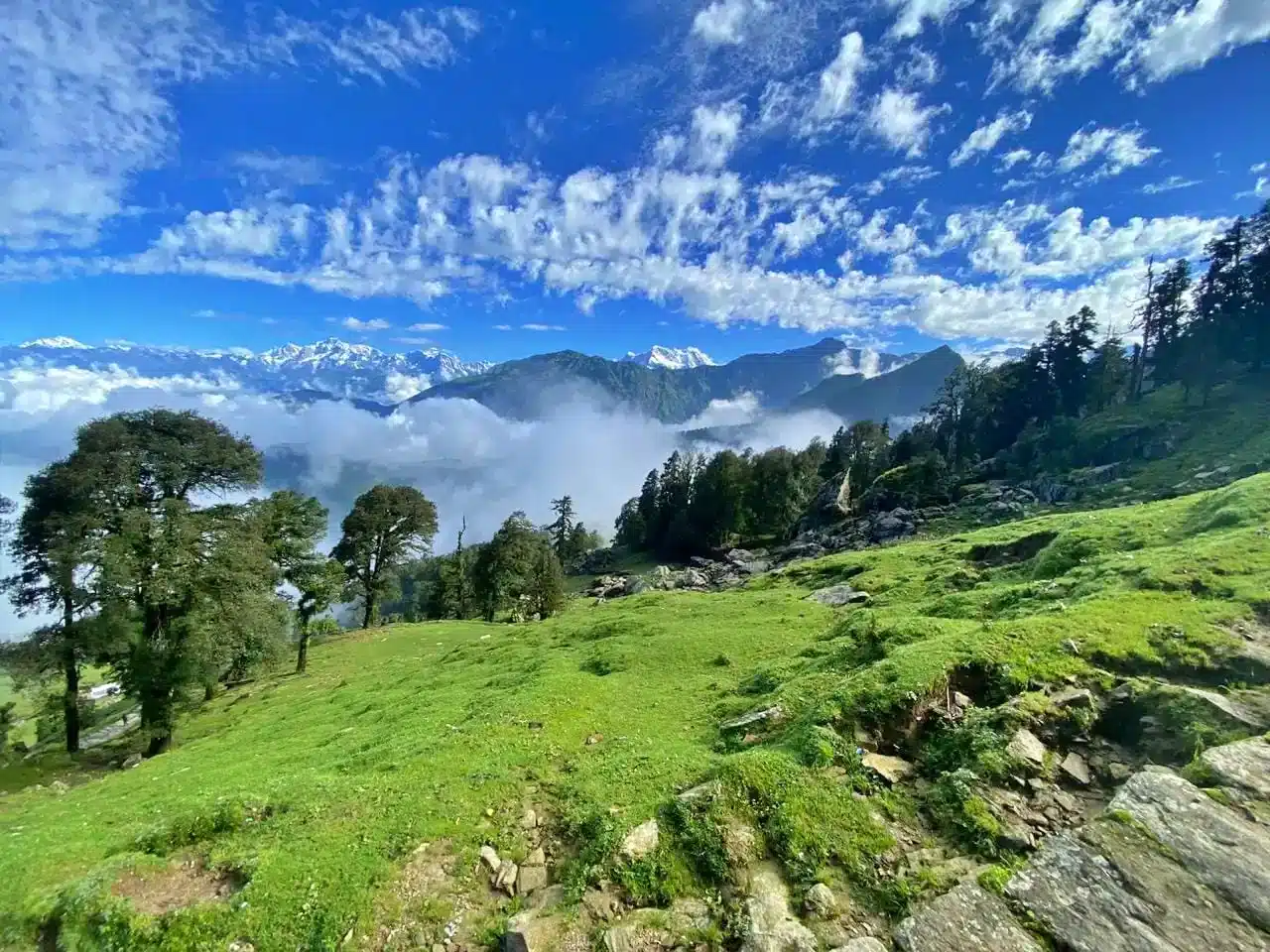 chopta tour package