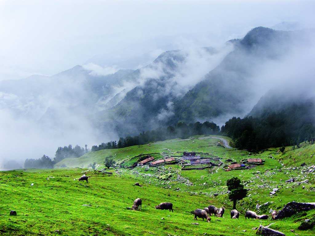 chopta tour package