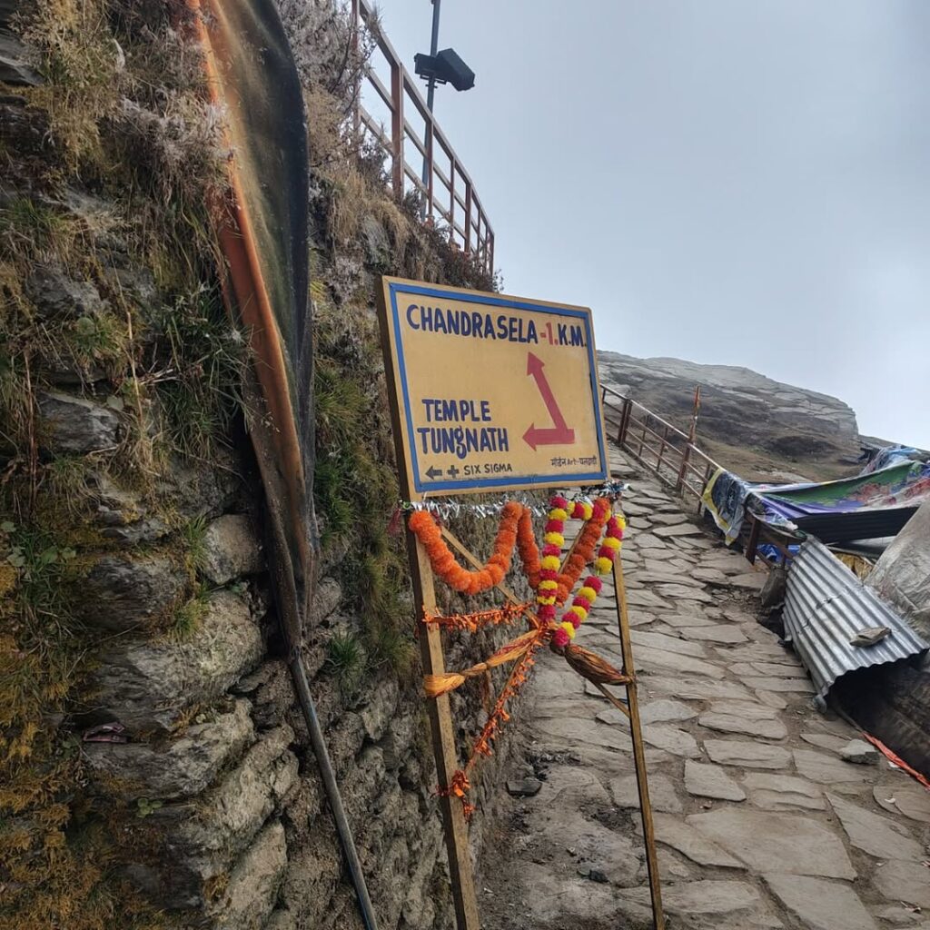 chopta tour package