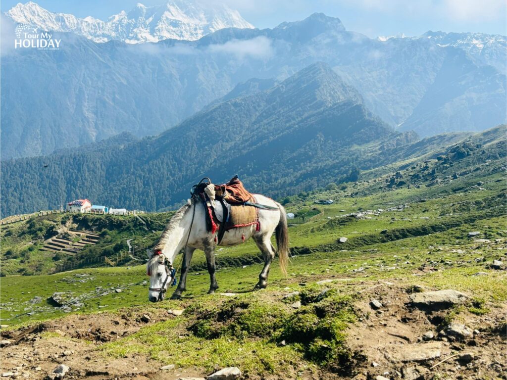 chopta tour package