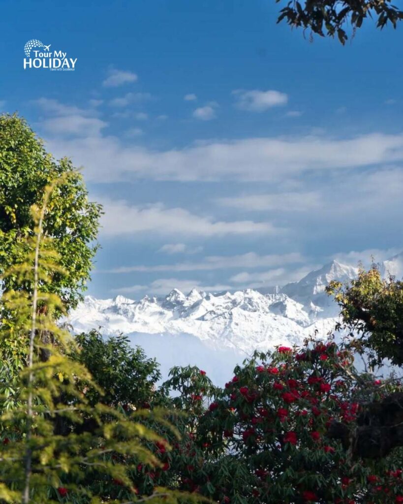 chopta tour package