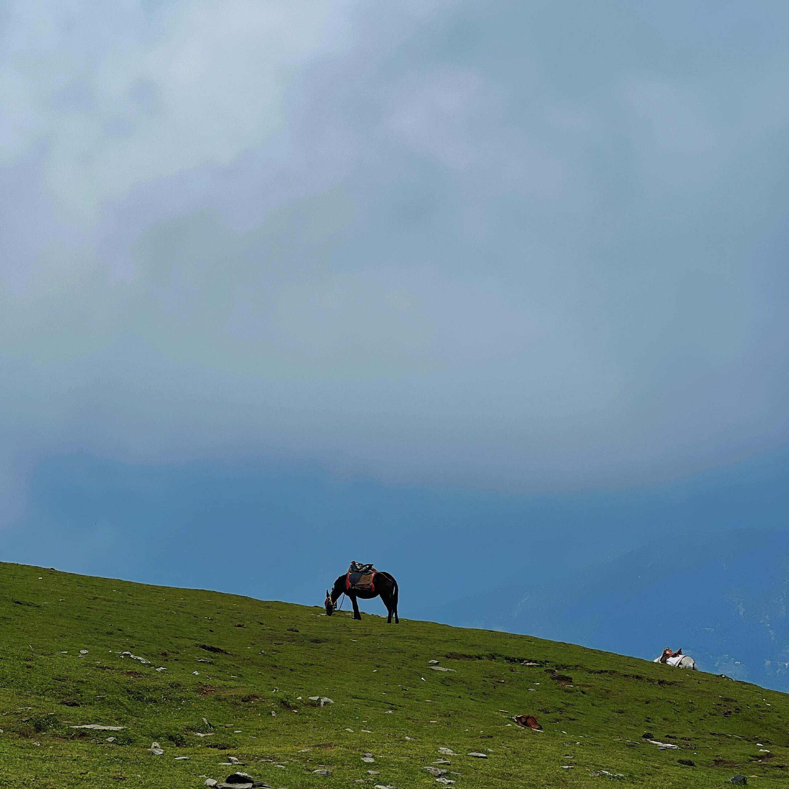 chopta tour package