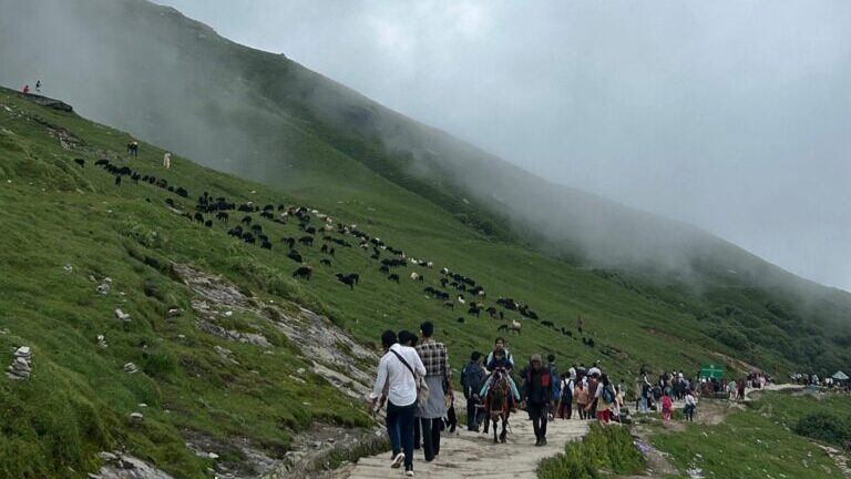 chopta tour package