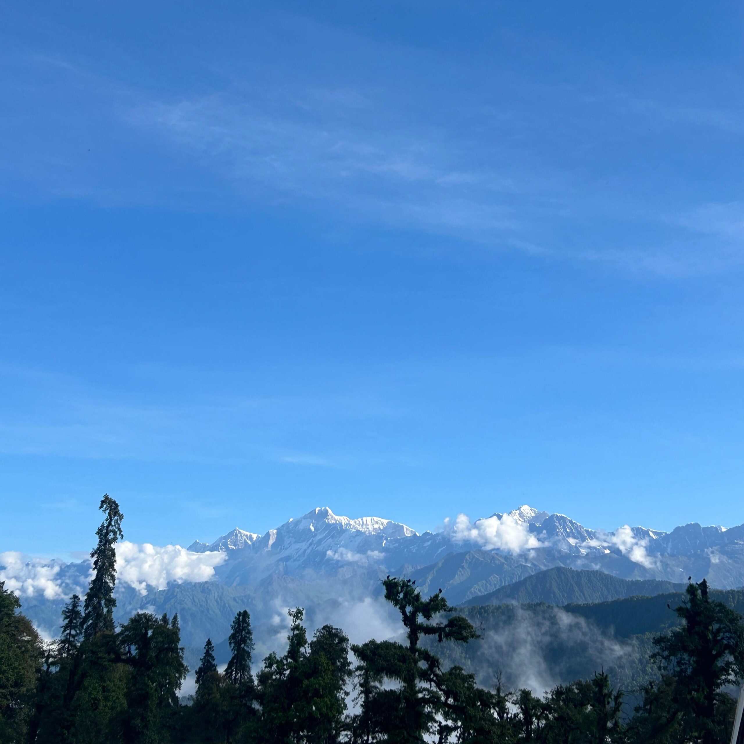 chopta tour package