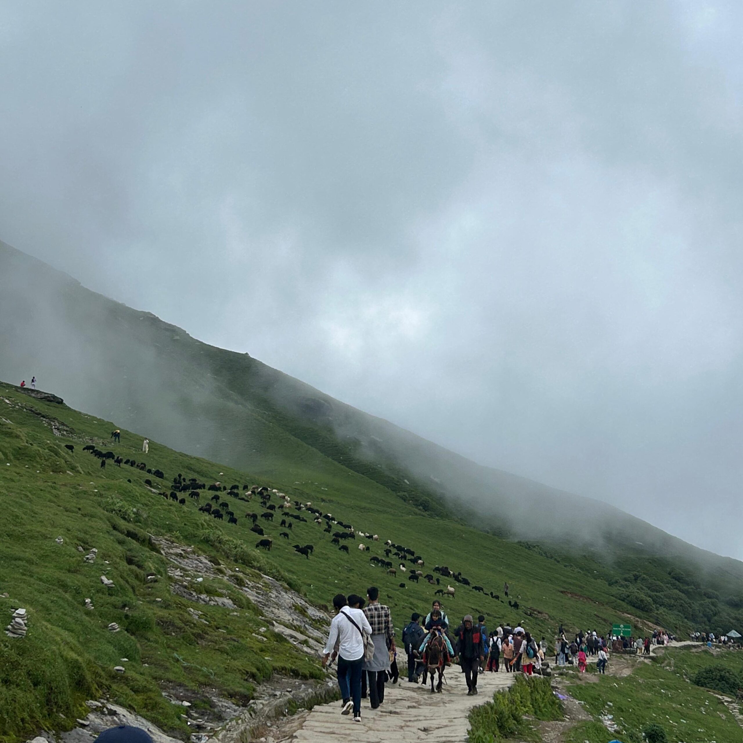 chopta tour package