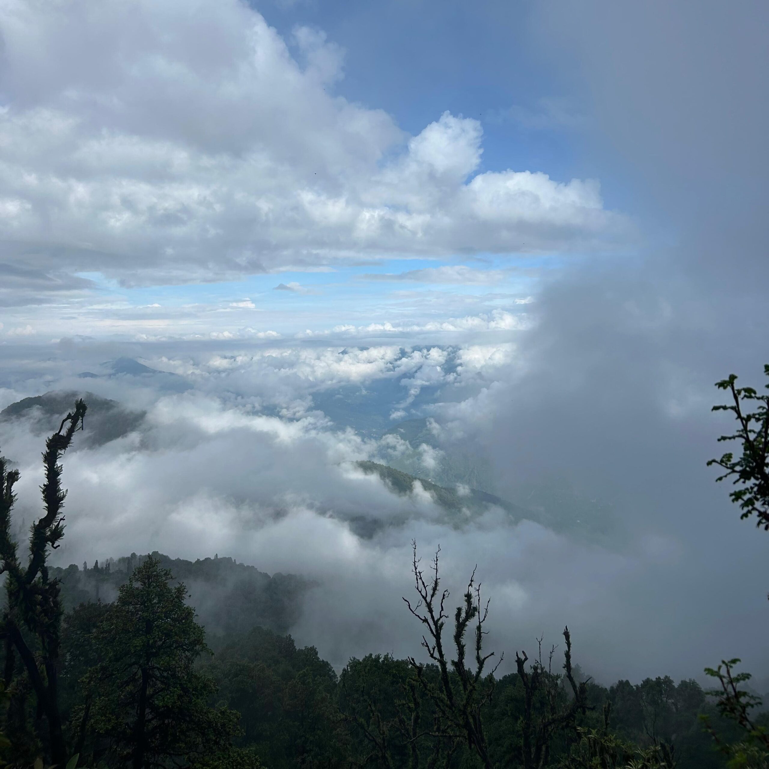 chopta tour package