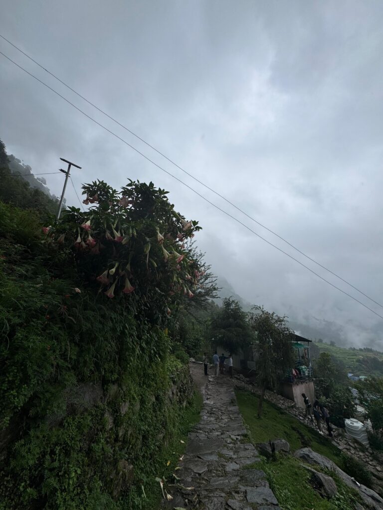 chopta tour package
