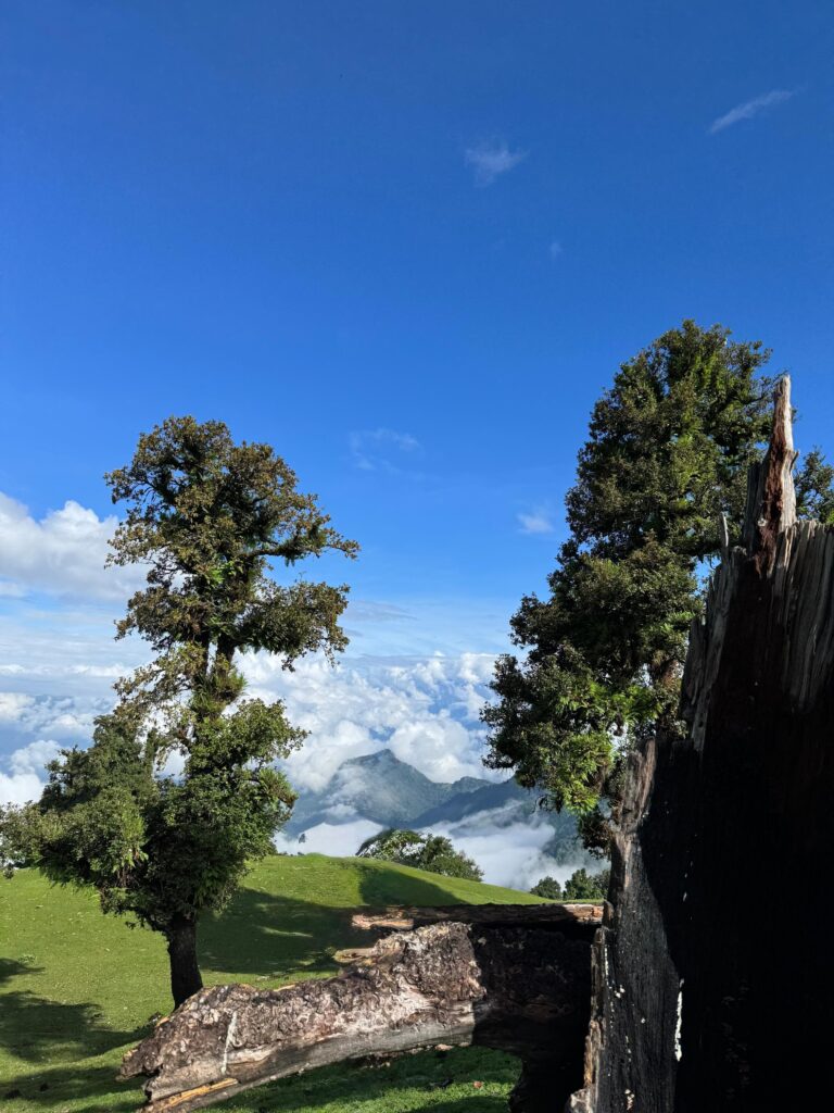 chopta tour package