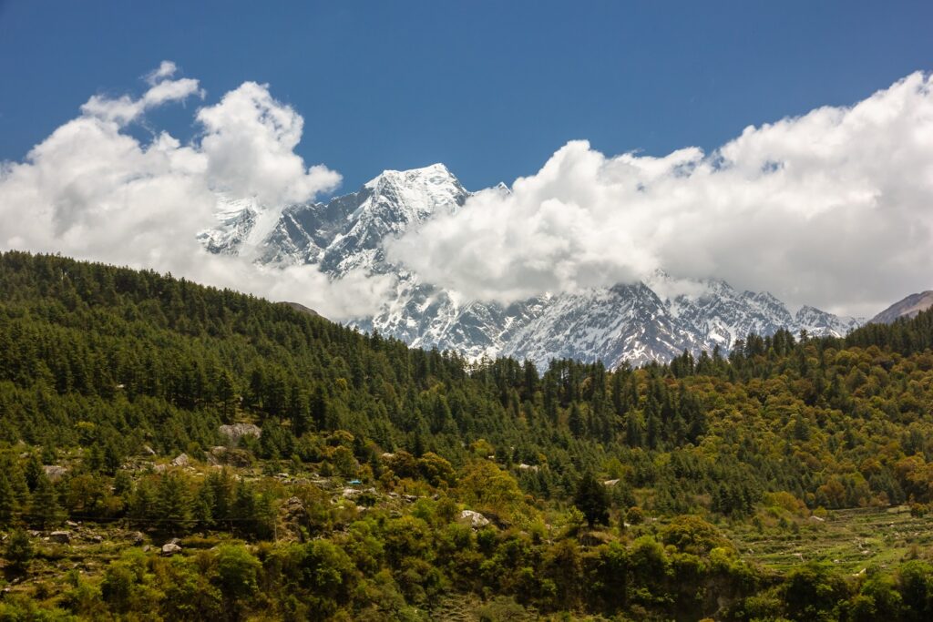 chopta tour package