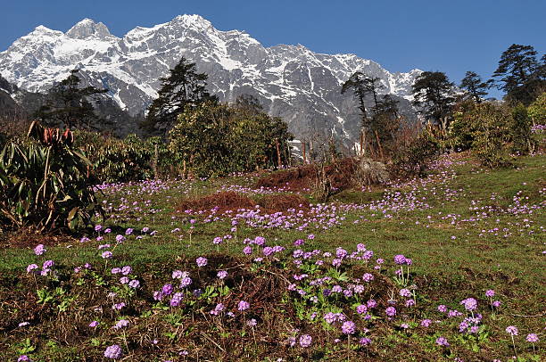 Chopta chandrashila trek from delhi