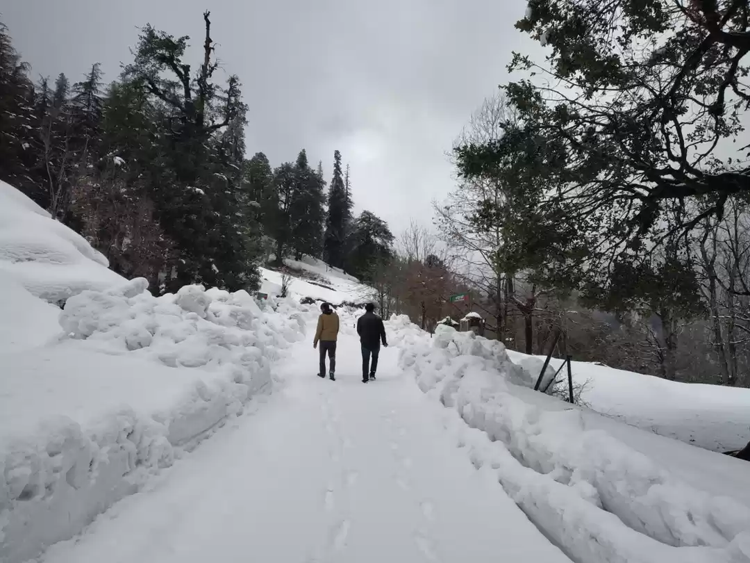 chopta chandrashila trek