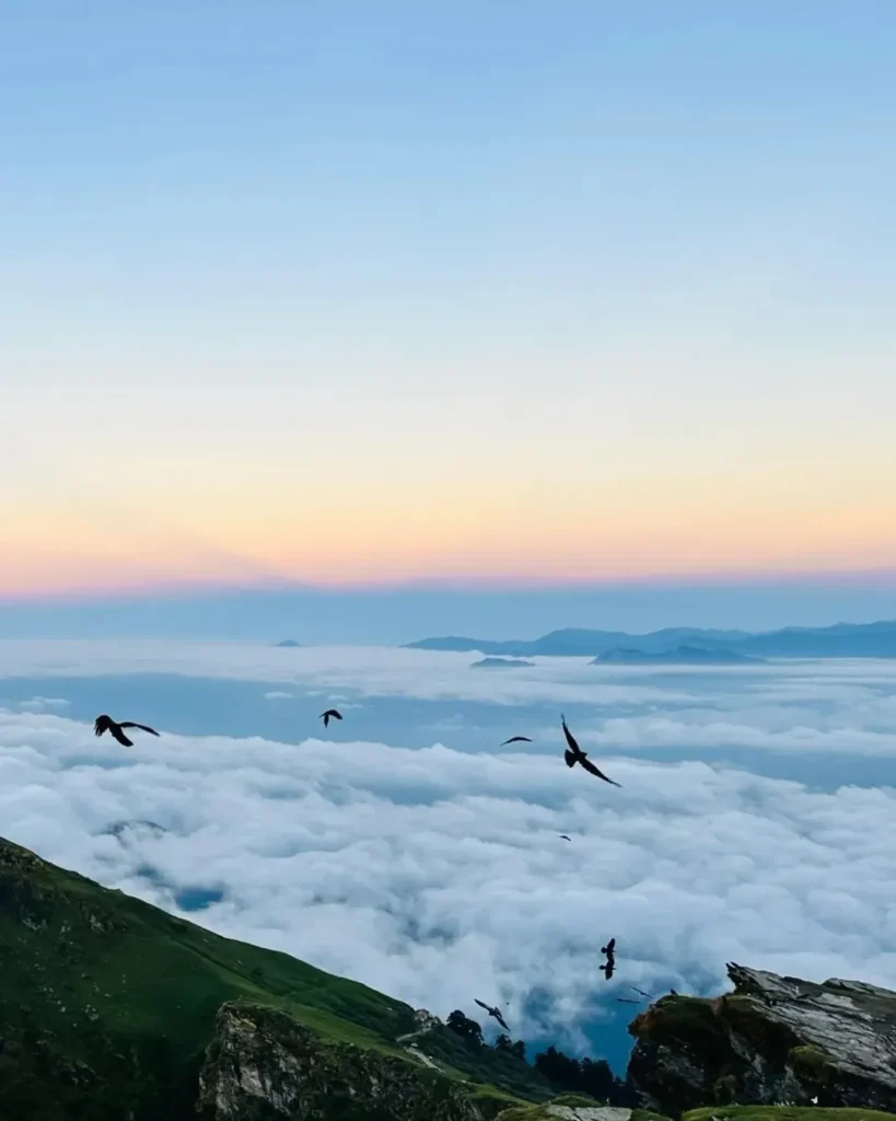 chandrashila trek