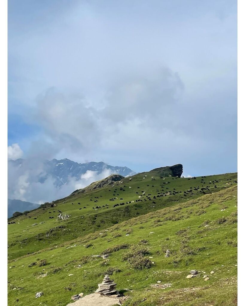 tungnath temple trek
